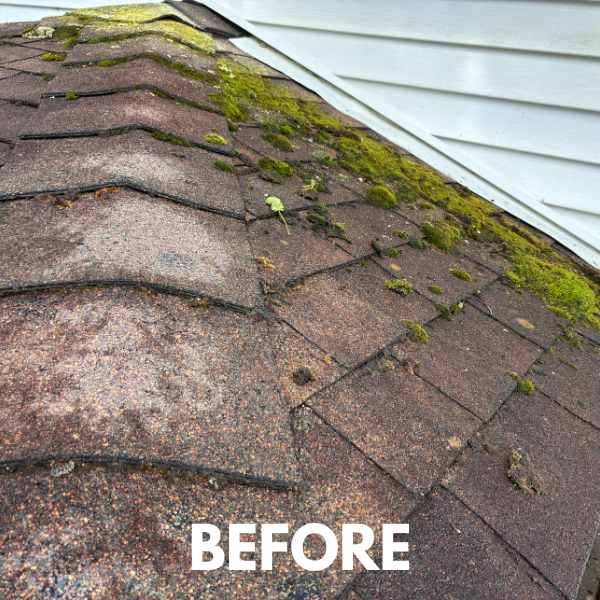 Roof cleaning — before