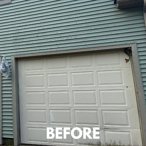 Siding soft wash — before