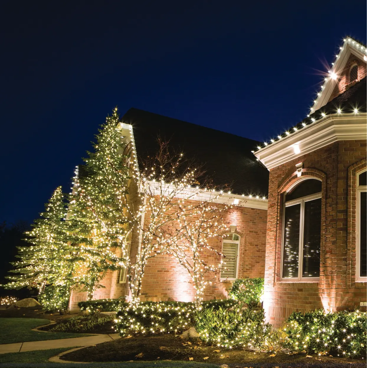 Warm white lights wrapping evergreens, ornamental trees, shrubs, and rooflines