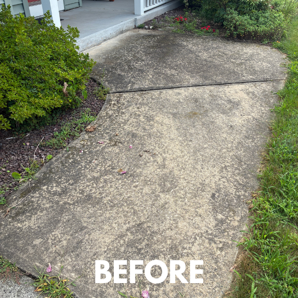 Walkway cleaning — before